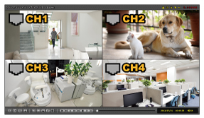 Original Avtech AVH-0401 NVR