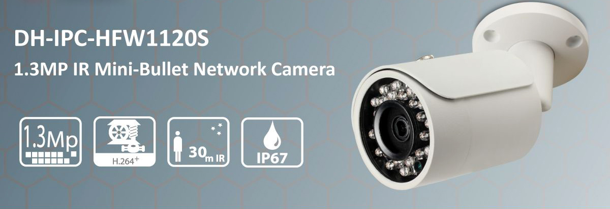 Buller Camera IP Bullet Camera