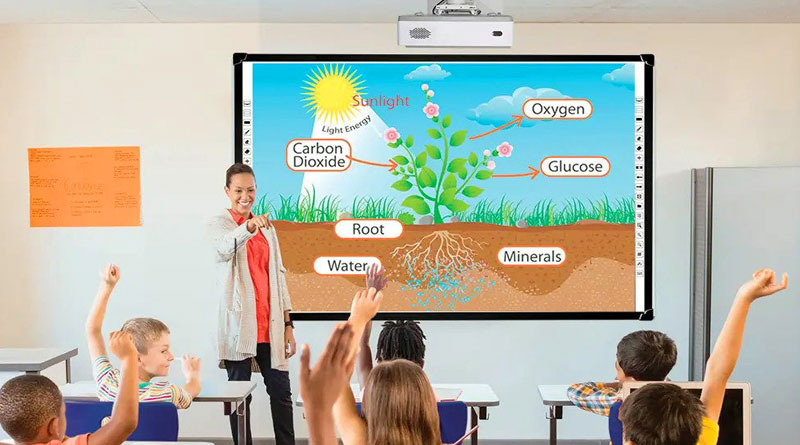 Interactive Whiteboard Price in Bangladesh